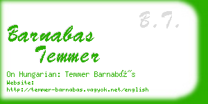 barnabas temmer business card